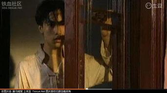 97伦理国产,构建和谐共生的人与自然新秩序